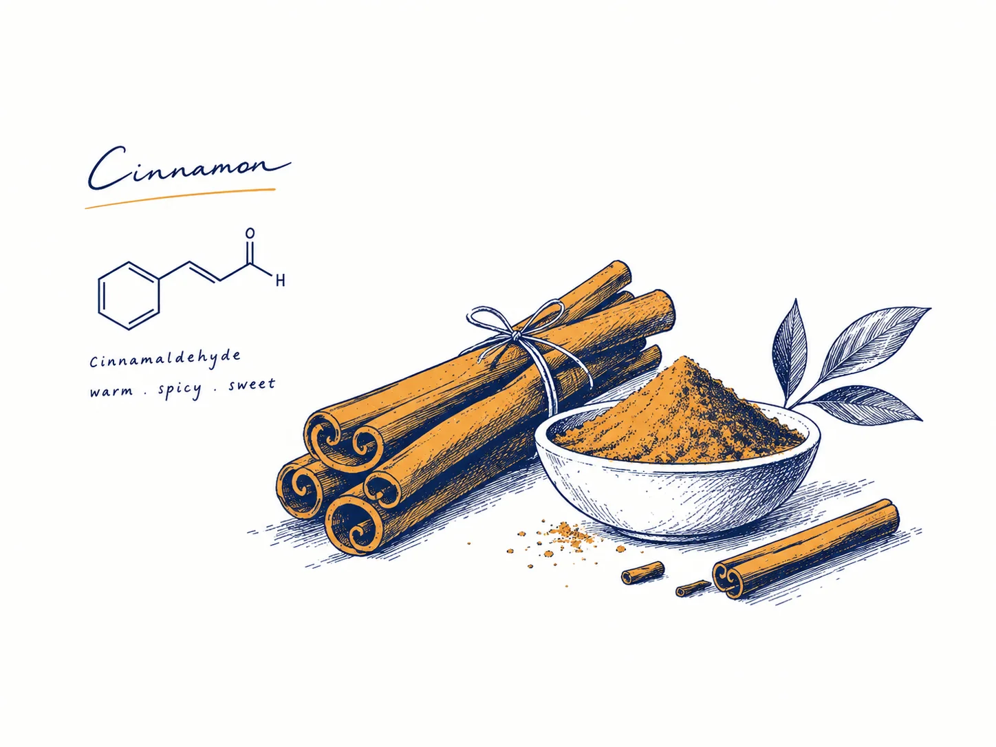 رایحه دارچین (cinnamon) در عطرسازی