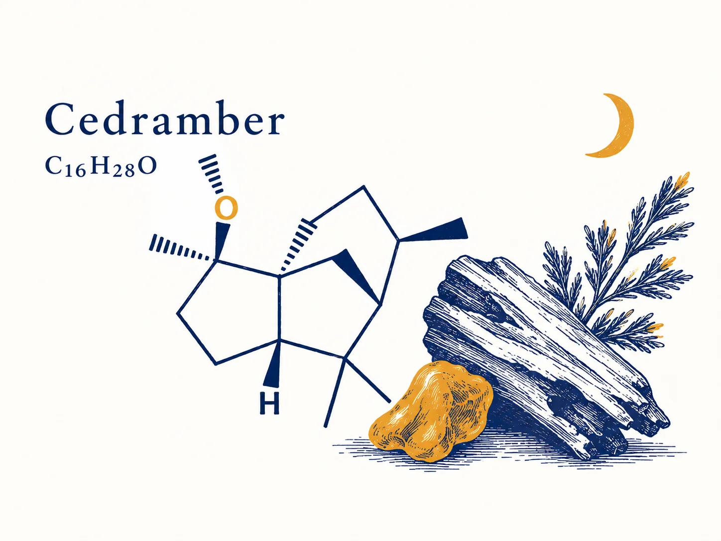 سدرامبر در عطرسازی (cedramber)