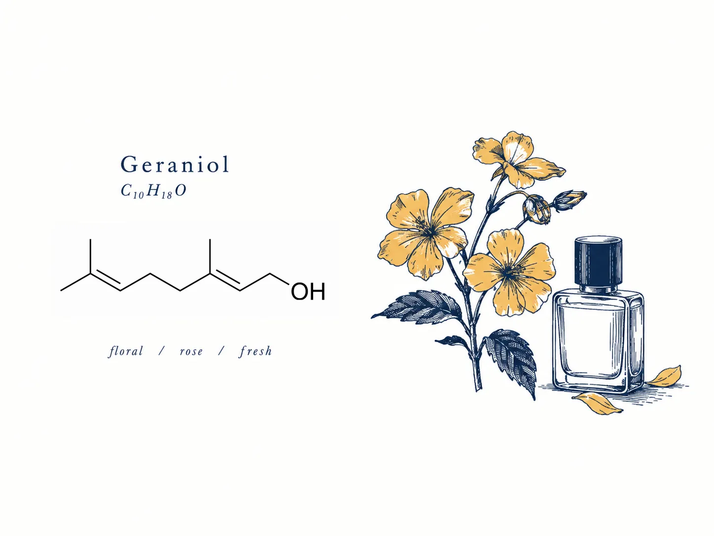ژرانیول(GERANIOL)